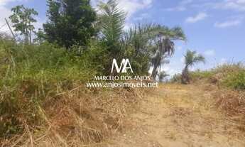 Imagem 5: Área Praia do Patacho, Porto de Pedras Alagoas