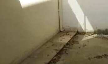 Imagem 5: Casa para venda tem 75 metros quadrados com 2 quartos em Bengui - Belém - Pará