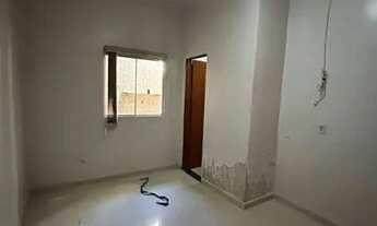 Imagem 6: Aluguel casa Casa com 3 dormitórios