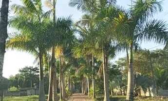 Imagem 3: Terreno em condomínio fechado no litoral sul de SP