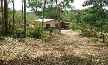 Imagem 6: Terreno 13.000 m², agua nos fundos, poço de peixe, fogão a lenha, terra ideal pra plantio
