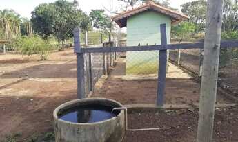 Imagem 4: Fazenda 20 alqueires no Rio Turvo
