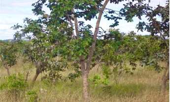 Imagem 7: Lote 1.000 m², plano em condomínio fechado, Jaboticatubas