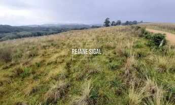 Imagem 4: Propriedade rural em Cerrito