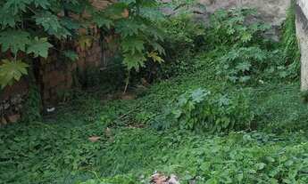 Imagem 4: Vendo terreno escriturado