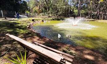 Imagem 5: Chácara 7.500m2 em Bonfinópolis só R$ 500 mil