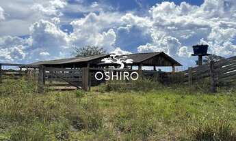 Imagem 6: FAZ. DUPLA APTIDÃO EM BRITÂNIA GO - NIL. CÓD. 13712