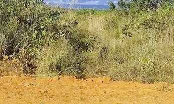 Imagem 4: Imóvel para venda tem 1000 metros quadrados em São José do Almeida - Jaboticatubas - MG