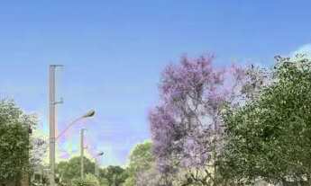 Imagem 7: TERRENO - JARDIM TERCEIRO CENTENÁRIO - SP