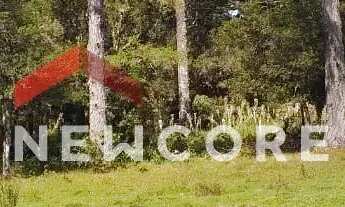 Imagem 7: Chácara em Estrada geral - Contendas - São Francisco de Paula/RS