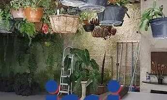 Imagem 4: Chácara a venda em São José dos Pinhas