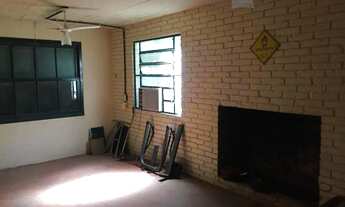 Imagem 7: Ótima morada com figueira e casa ampla