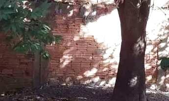 Imagem 6: Terreno de 730m² à venda em Jardim Palmeiras Montes Claros -MG