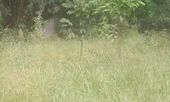 Imagem: Terreno com Área Verde em Local Tranquilo