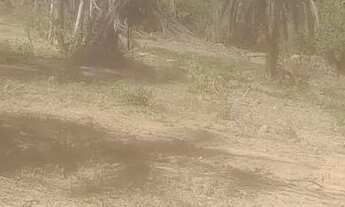 Imagem 5: Chacara rural no sítio novo