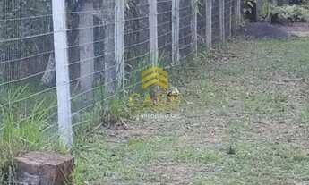 Imagem 6: Imóvel para venda tem 5000 metros quadrados com 2 quartos em Águas Claras - Viamão - RS