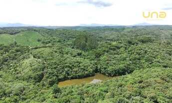 Imagem 5: Terreno à venda, 43640 m² por R$ 392.000 - Belle Vie - Bocaiúva do Sul/PR