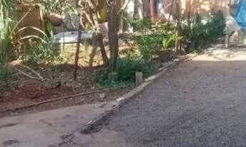 Imagem 6: Casa Casa com 2 dormitórios