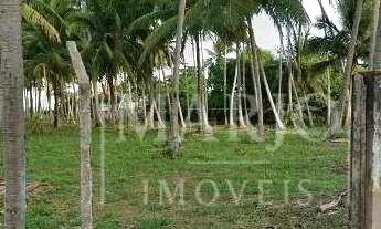 Imagem: Terreno em Japaratinga/AL