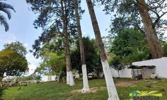 Imagem 4: Chácara com 6 dormitórios à venda, 3045 m² por R$ 1.650.000,00 - Batistini - São Bernardo