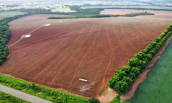Imagem 3: Fazenda com 100% com Dívida no banco em Goiás