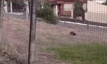 Imagem 2: Terreno plano Terreno / lote com venda por R$1.113.000