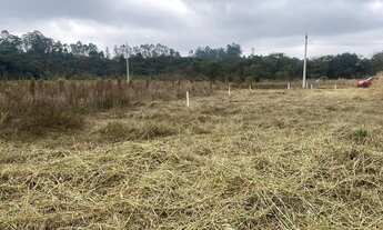 Imagem 4: 3. Terrenos prontos para construir escolha o seu enquanto ainda dá tempo!