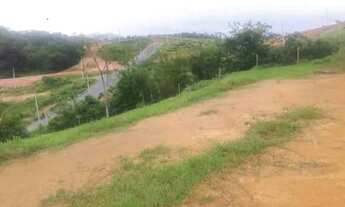 Imagem 6: Vendo terreno no horto