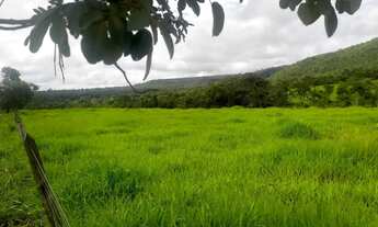Imagem 3: Fazenda chácara granja confinamento Planaltina DF