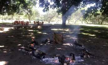 Imagem 5: Chácara Rio dentro da cidade