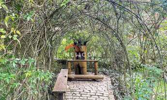 Imagem 5: Apartamento em Capivari - Capivari - Campos do Jordão/SP