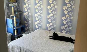 Imagem 4: Apto chapada Pinhais - Coxipo