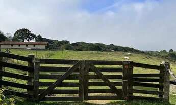 Imagem 6: à venda, Planta Entremar, Piraquara, PR