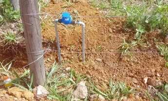 Imagem 3: Lote em condomínio em Rua Pacífico Mascarenhas, s/n - Centro - São Vicente/MG