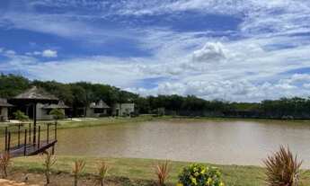 Imagem 3: FAZENDA REAL 3 Chácara com venda por R$70.000