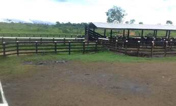 Imagem 2: Inperdivel fazenda em roraima