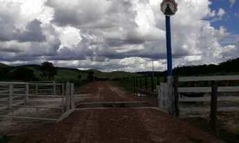 Imagem 3: 11 alqueiros em Mozarlândia