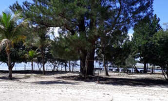 Imagem 5: Rancho as margens do rio Sucuriú