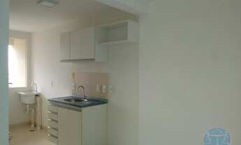 Imagem 7: NATAL - Padrão - Ponta Negra