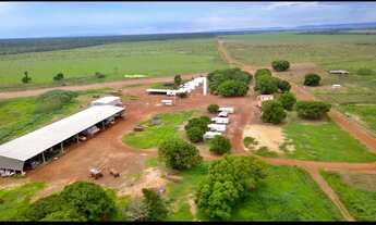 Imagem 5: Fazenda de 39.000 hectares Próxima a Confresa MT
