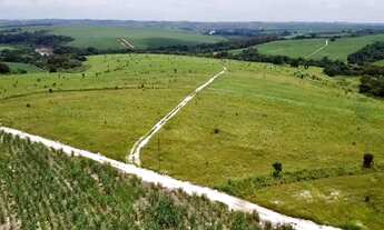 Imagem 2: Porto Feliz-Sp, Fazenda 66 Alqueires