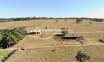 Imagem 4: Belíssima fazenda a 45 km de goiânia!