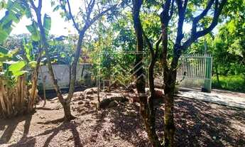 Imagem 4: Chácara à venda em Governador Celso Ramos/SC