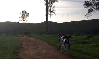 Imagem 4: Fazenda/Sítio/Chácara para venda com 970000 metros quadrados com 5 quartos