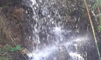 Imagem 3: Sitio Chácara com venda por R$300.000