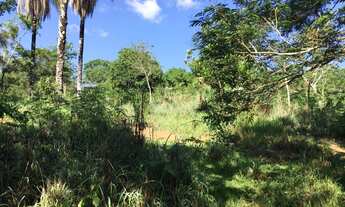 Imagem 5: Fazenda/Sítio/Chácara com casa e pomar em Santana do Pirapama/MG