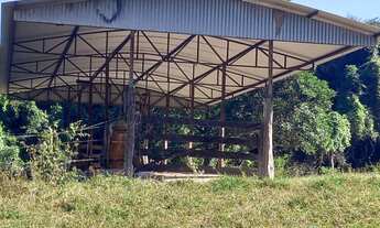 Imagem 5: 5 alqueires de terra