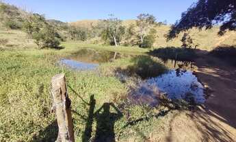 Imagem 6: Fazenda com 250 hectares em Silveiras - São Paulo