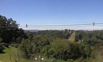 Imagem 5: Gramado - Casa Padrão - Planalto