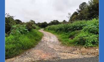 Imagem 3: Oportunidade! Terreno 18.546,00 m² abaixo valor mercado Rio Negro/PR - Rafael Matias